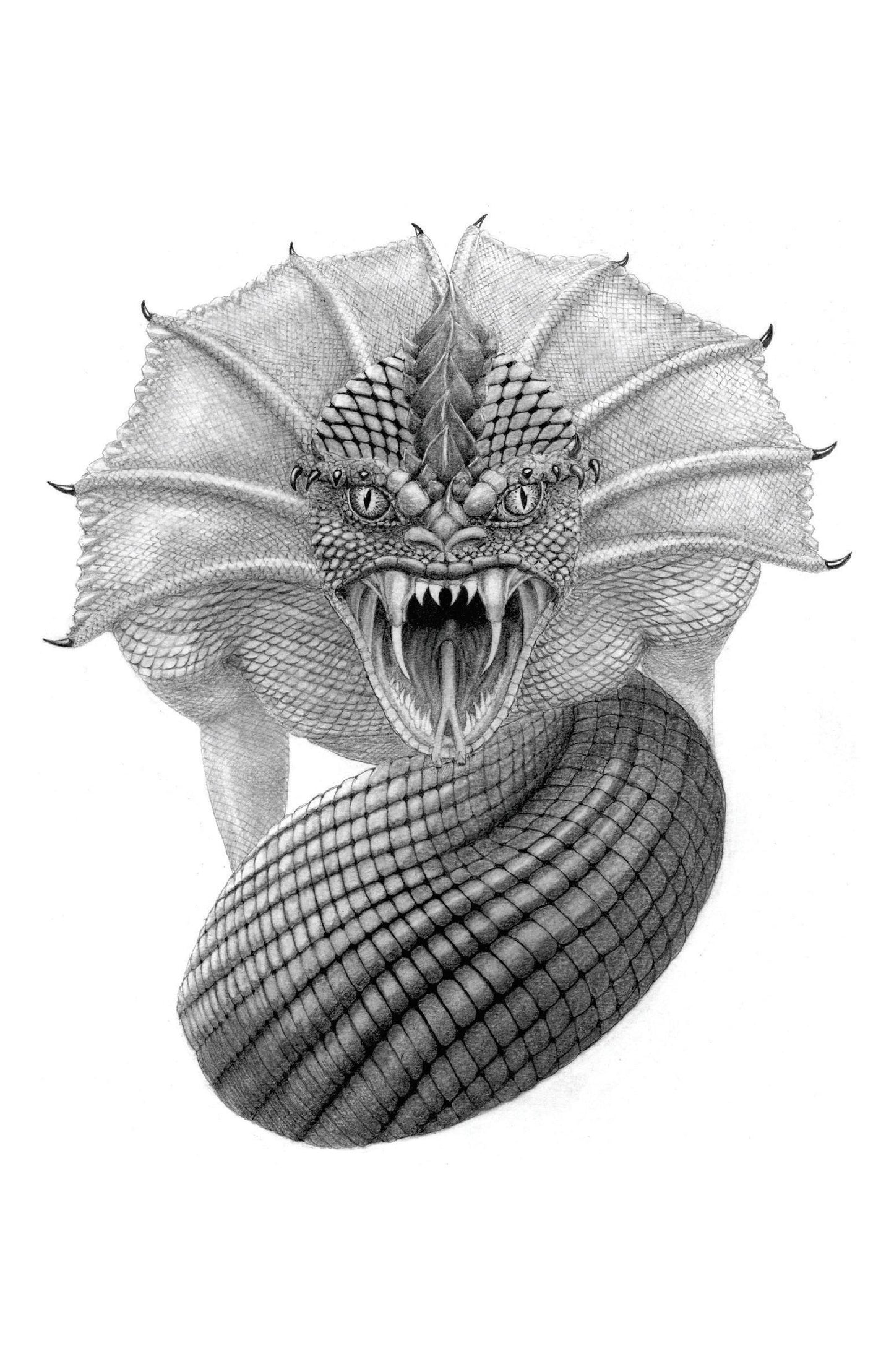 Aan